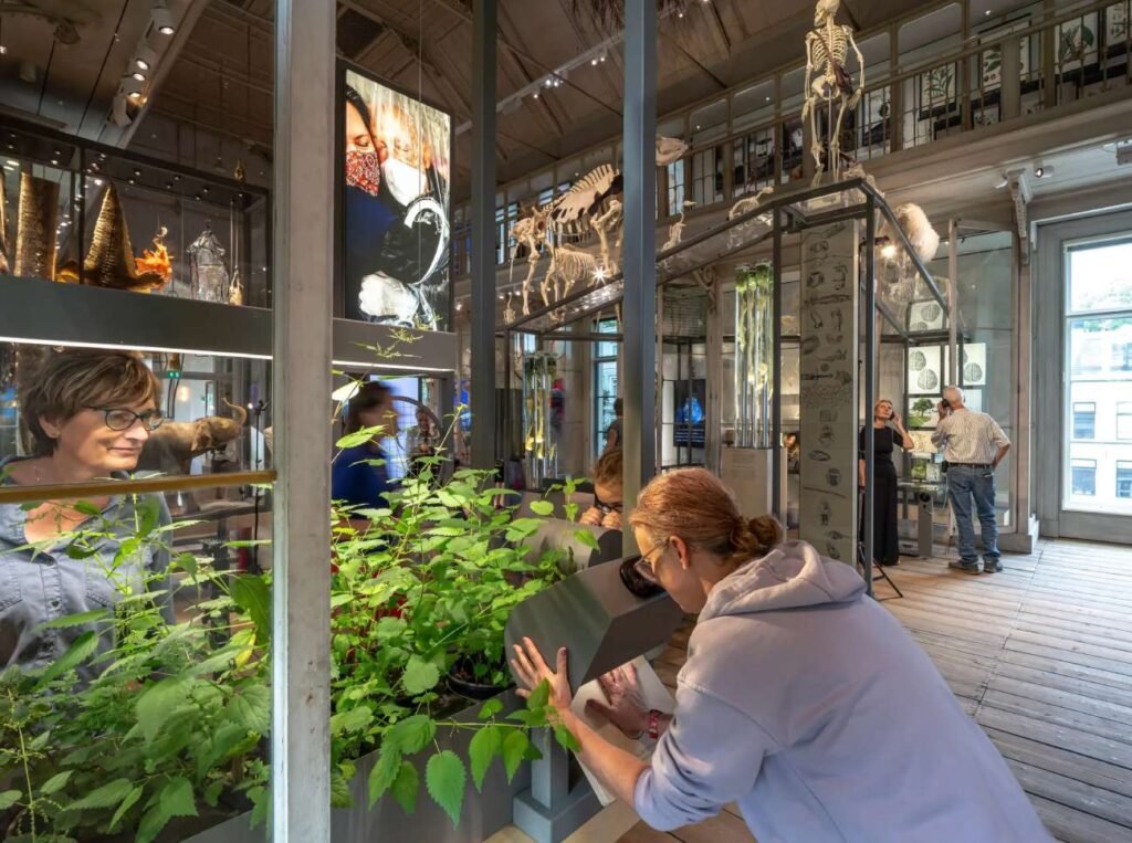 Billets pour le Groote Museum Amsterdam